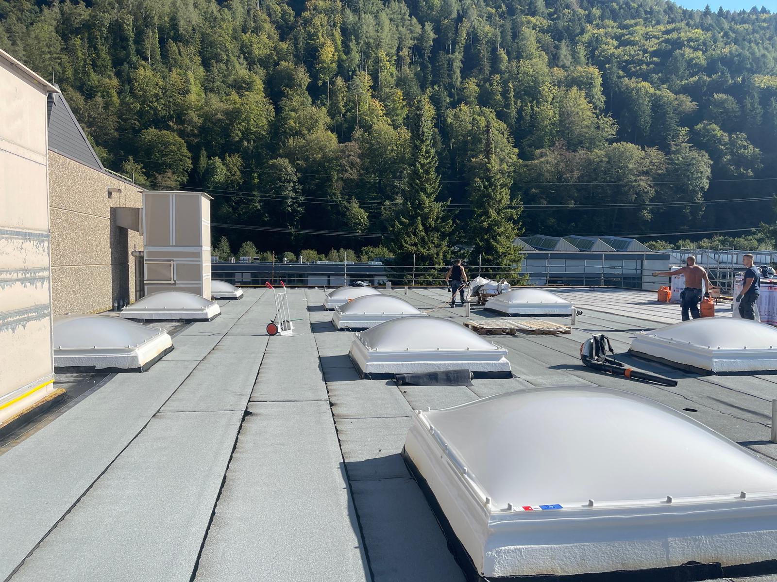 Wilderswil (1)